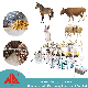 Farm Cattle Pig Chicken Feed Pellet Machine Animal Feed Machine Pelleting Plant manufacturer