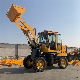 High Quality Heavy Duty Hydraulic 5ton Wheel Long Power Loader Small Loader Skid Steer Loader Mini for Hot Sale Engineering Vehicle with Shovel