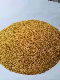 Feed Additives Corn Gluten Meal 60% Protein Animal Feed