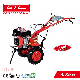  173f Diesel Engine Agricultural Tiller Farm Rotary Cultivator with Electric Starter (D173F)