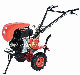 Farm Machinery D173f 6HP Mini Diesel Tiller with Light Gp3.8c