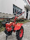  Gasoline Rotary Cultivator 9HP 177f Min Multi-Fuction Tiller From Green Power