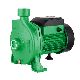 Powertec Wholesale High Flow High Quality High Pressure Centrifugal Water Pump