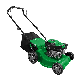 Powertec 127.1 Cc Engine 4-Stroke High Quality Gasoline 2.0kw Gasoline Lawn Mower manufacturer