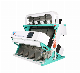 Harvest Lentil Color Sorting Machines