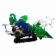 Small Rice Wheat Lavender Combine Harvester Machine Used