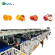 Onion Sorting Machine Efficient Citrus Fruit Handling and Packaging Fruit Post-Harvest Processing Technology