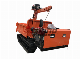  3 Ton Diesel Mini Crawler Truck Dumper Accept Customized Hydraulic Crawler All Terrain Transport Vehicle