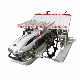  Indonesia Hot Sale 2zx-425 4 Rows 250mm Rows Width Walking Type Rice Transplanter