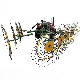  Hot Sale Tractor Hay Rake Spike Rake for Tractor China Supper Supplier