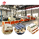 WPC PVC Wall Panel Production Extrusion Line PVC Ceiling Panel Roofing Tiles Extruder Machine