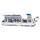 Hc450DJ Heavy Duty Wood Full Automatic Edge Banding Machine