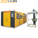 Plastic Pet Bottle Blow Moulding Machine (ZQ-B600-6) manufacturer