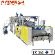  Double Twin Screws 2-3 Layer Ab/ABA PE/EVA Transparent Cast Stretch Film Machine Making 1000/1500mm