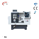  Flat Bed Mini CNC Lathe/CNC Machine/Tool Turret Lathe (FL300 )