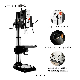 Vertical Drill Press Machine Ctz35 manufacturer