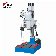 Metal High Precision Vertical Drilling Machine Z5025b High Quality Vertical Drilling Machine manufacturer