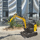 with Customized Instrument 1 Ton Digger Ht10 Bz 1000 Kg Mini Small Excavator Mini Escavator CE/EPA/Euro 5