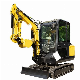  Changlin 2500kg Operating Weight Crawler Small Excavator Mini Digger with CE
