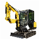 Changlin 2500kg Operating Weight Crawler Small Excavator Mini Digger with CE