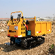 China Hydraulic Truck Dumper Crawler Carrier Mini Dumper with Loading Capacity 750kg