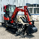 Qilu Excavator Mini Free Shipping 2.5 Ton Compact Garden Mini Excavators