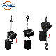  250kg 500kg 1000kg 2000kg Lifting Electrical Stage Hoist Equipment Intelligent Stage Electric Chain Hoist