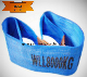 8t Polyester Webbing Sling 8t X1m (customized)