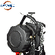 High Quality Small 110 Volt 110V 220V 250kg 500kg 1000kg Mini Small Portable Electric Chain Hoist 250kg manufacturer