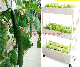 Indoor Home Used Nft Hydroponics System Grow Planter Box manufacturer
