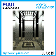  FUJI Brand Passenger Elevator 800kg 1.5m/S Golden Titanium Mirror Etching Home Panoramic Villa Passenger Lift with Machine Room