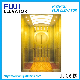 13 Persons 1000kg 1.6m/S Stainless Steel Mirror Etching Home Panoramic Villa Passenger Elevator