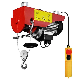 Mini 250kg 500kg 1000kg 220V Lift Motor Crane Electric Hoist with Sale Price