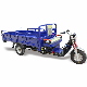 Tipper Cabin Truck Cargo Electric Tricycle