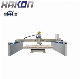  Infrared Automatic Granite Marble Bridge Cutting Machine (ZDH600) with Rotate Worktable