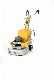 Polisher Grinding Grinder Floor Edge Machines Concrete Polishing Machine 110V