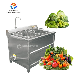 Restaurant Hotel Small Type Vegetables and Fruits Washer manufacturer