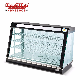  China Food Display Warmer with Light Box (HW-1200B)