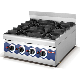 6-Burner Gas Range for Kitchen Equipment (HGR-66) manufacturer