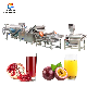 Industrial Fruit Pomegranate Juice Making Passionfruit Juicer Machine Production Extractor Line manufacturer