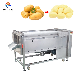 Potato Cassava Ginger Peeling Machine manufacturer