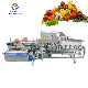 Commercial Fruits Vegetables Washing Vortex Type Potato Cabbage Washing Machine manufacturer