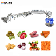 Industrial Fruit Vegetable Orange Potato Carrot Washing Drying Dicing Machine manufacturer