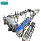 Manufacturer of Automatic Potato Chips Production Line