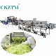 Salad Vegetable Cutting Slicer Drying Cleaning Bubble Washer Vortex Washing Processing Line Machine manufacturer