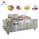 Commercial Olive Plum Pit Extracting Hawthorn Core Removing Machine manufacturer