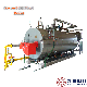  Factort Supply Wns 1 Ton 2 Ton 4 Ton Gas Fired Steam Boiler