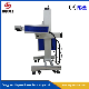 20W 30W 60W CO2 Fly Laser Marking Machine Suitable for Production Line Marking manufacturer