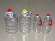 Customized Cavity 5L-20L Blowing Bottle Injection Mold for Plastic Bottle