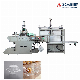 Manufacturer Supply Automatic Plastic Tray Thermoformed Packaging Machine